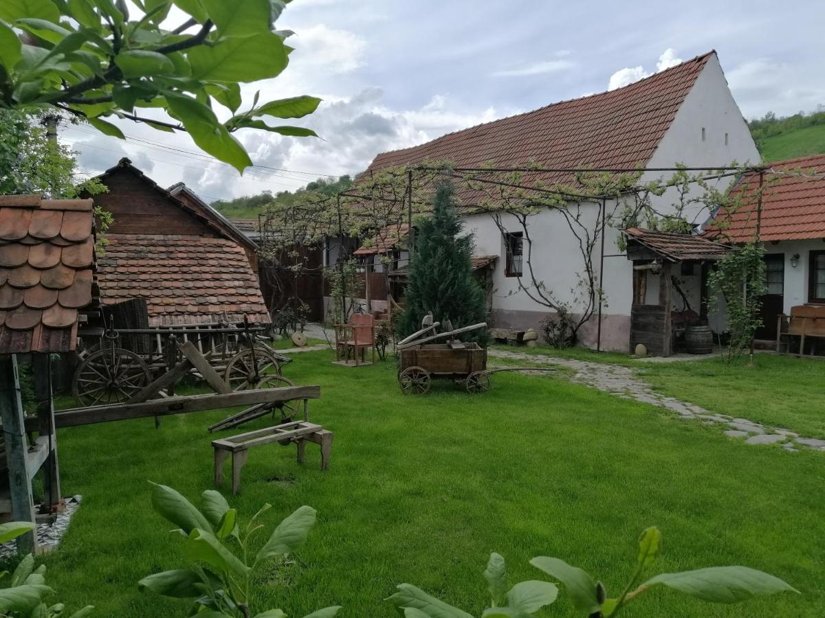 Casa Traditionala Transilvaneana Rucar  Экстерьер фото