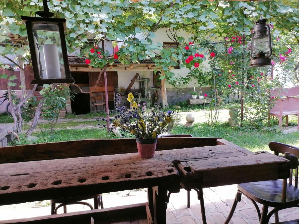 Casa Traditionala Transilvaneana Rucar  Экстерьер фото