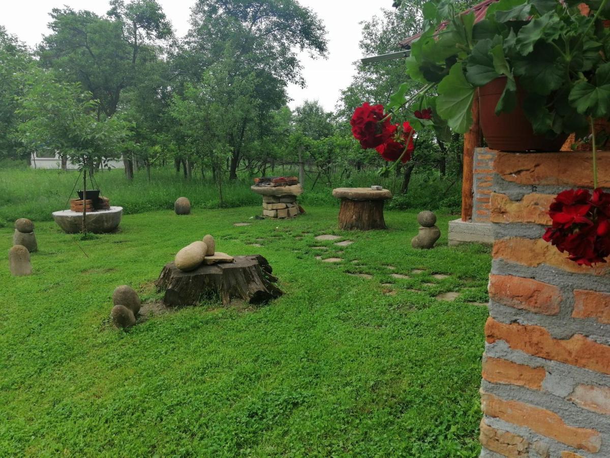 Casa Traditionala Transilvaneana Rucar  Экстерьер фото